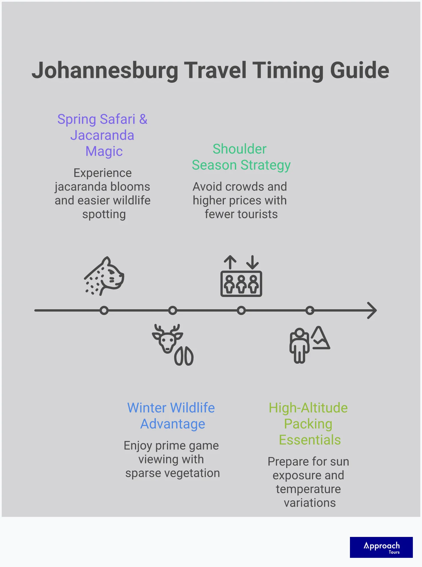 Comprehensive infographic showing Johannesburg's seasonal travel guide with four main sections covering spring jacaranda season and safari timing, winter wildlife advantages, shoulder season strategies for avoiding crowds, and high-altitude packing essentials. Features weather icons, temperature ranges, and practical travel tips for each season with purple jacaranda tree imagery and safari wildlife silhouettes.