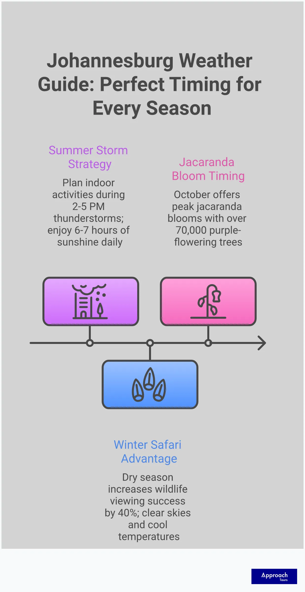 Comprehensive infographic showing Johannesburg's seasonal weather patterns, including summer thunderstorm timing, winter safari advantages, spring jacaranda bloom periods, and high-altitude climate effects. Features temperature ranges, rainfall patterns, optimal activity scheduling, and packing recommendations for each season. Includes specific timing for wildlife viewing, cultural site visits, and outdoor activities based on Johannesburg's unique subtropical highland climate at 1,700 meters elevation.