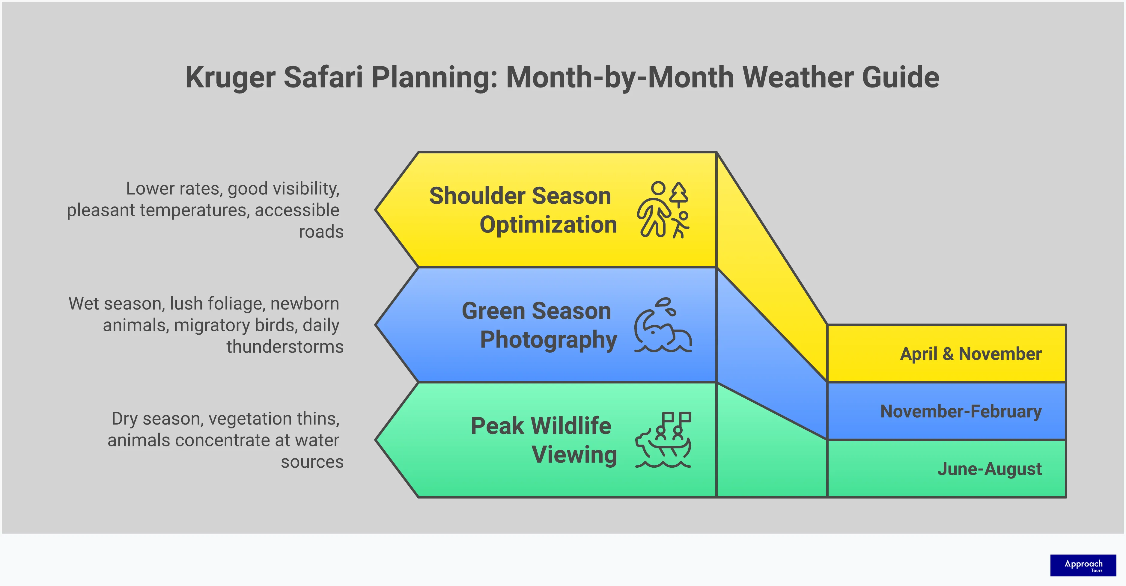 Comprehensive infographic showing Kruger National Park's month-by-month weather patterns and safari planning strategies. Features four main sections covering peak wildlife viewing windows during dry season (June-August), green season photography opportunities (November-February), strategic packing recommendations for temperature extremes, and shoulder season optimization benefits (April and November). Includes specific temperature ranges, wildlife concentration data, equipment recommendations, and timing strategies for optimal safari experiences.