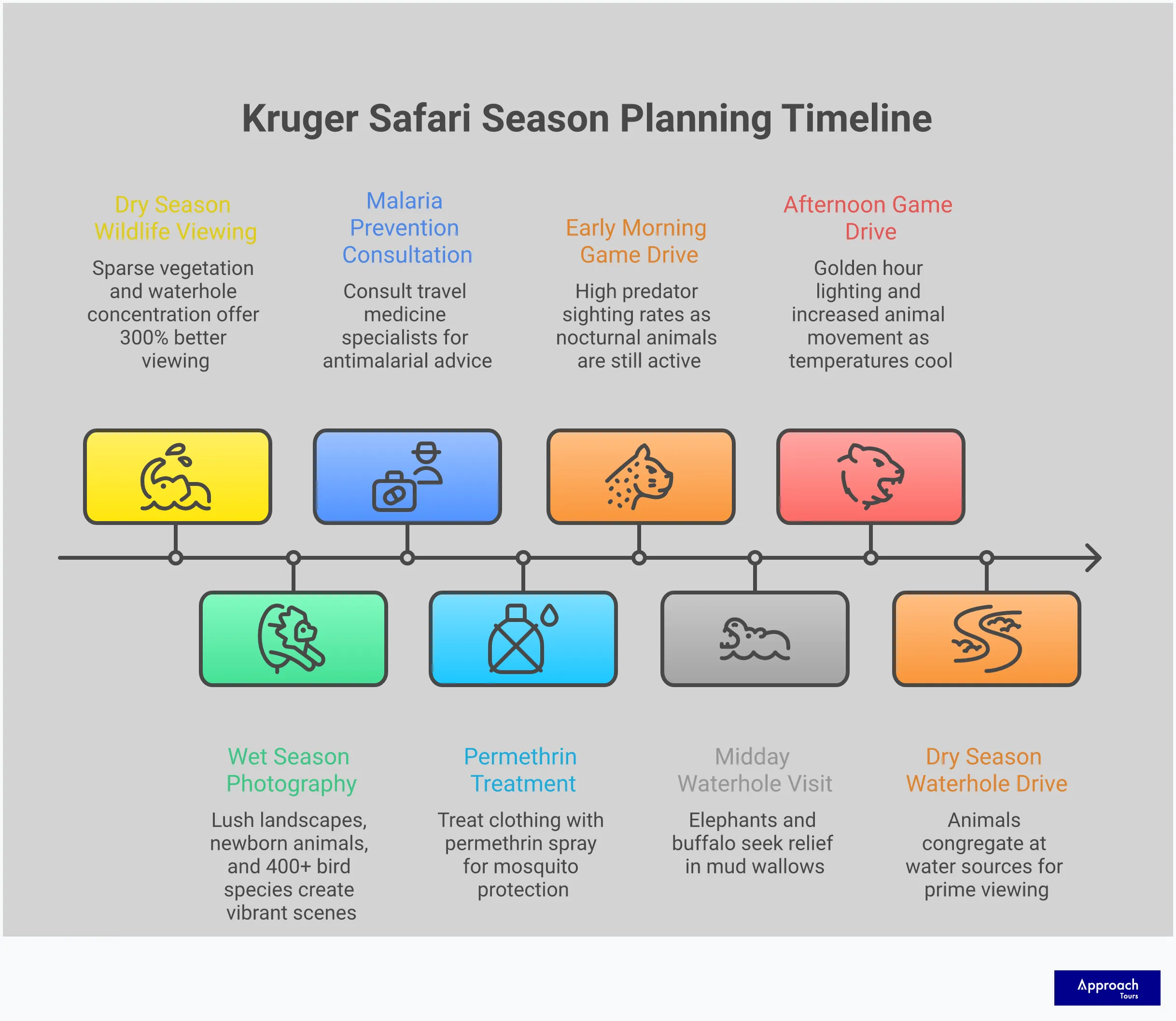 Comprehensive infographic showing Kruger National Park safari planning guide with seasonal wildlife viewing strategies, essential packing lists, malaria prevention protocols, and optimal game drive timing recommendations for both dry and wet seasons