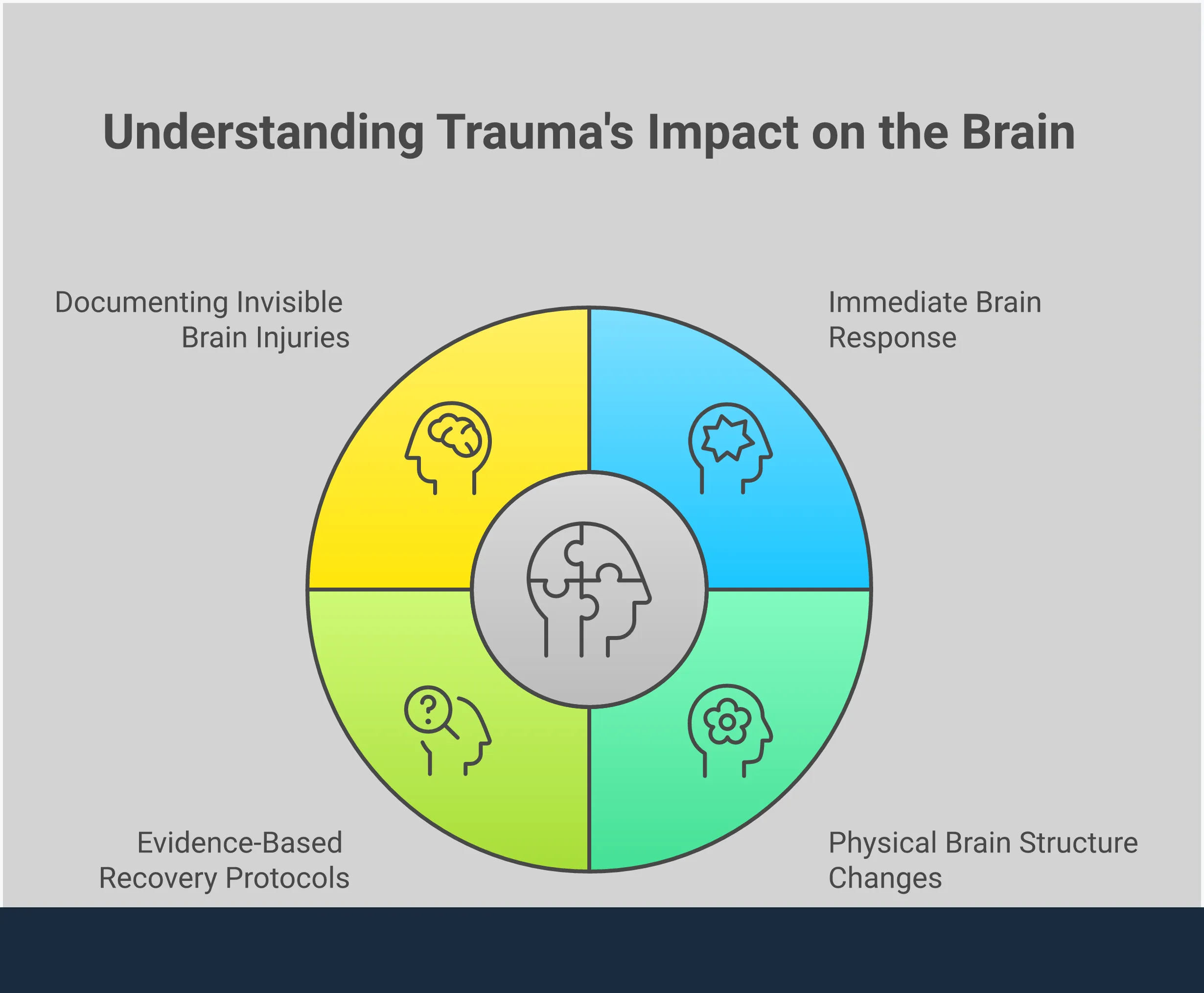 How Trauma Physically Rewires Your Brain Professional infographic showing how trauma physically changes the brain, featuring brain anatomy diagrams highlighting the amygdala, hippocampus, and prefrontal cortex. Visual elements include brain scan imagery, neural pathway illustrations, and recovery timeline graphics. Color scheme uses calming blues and greens with medical-grade accuracy in anatomical representations. Charts show statistical recovery rates and treatment effectiveness data.