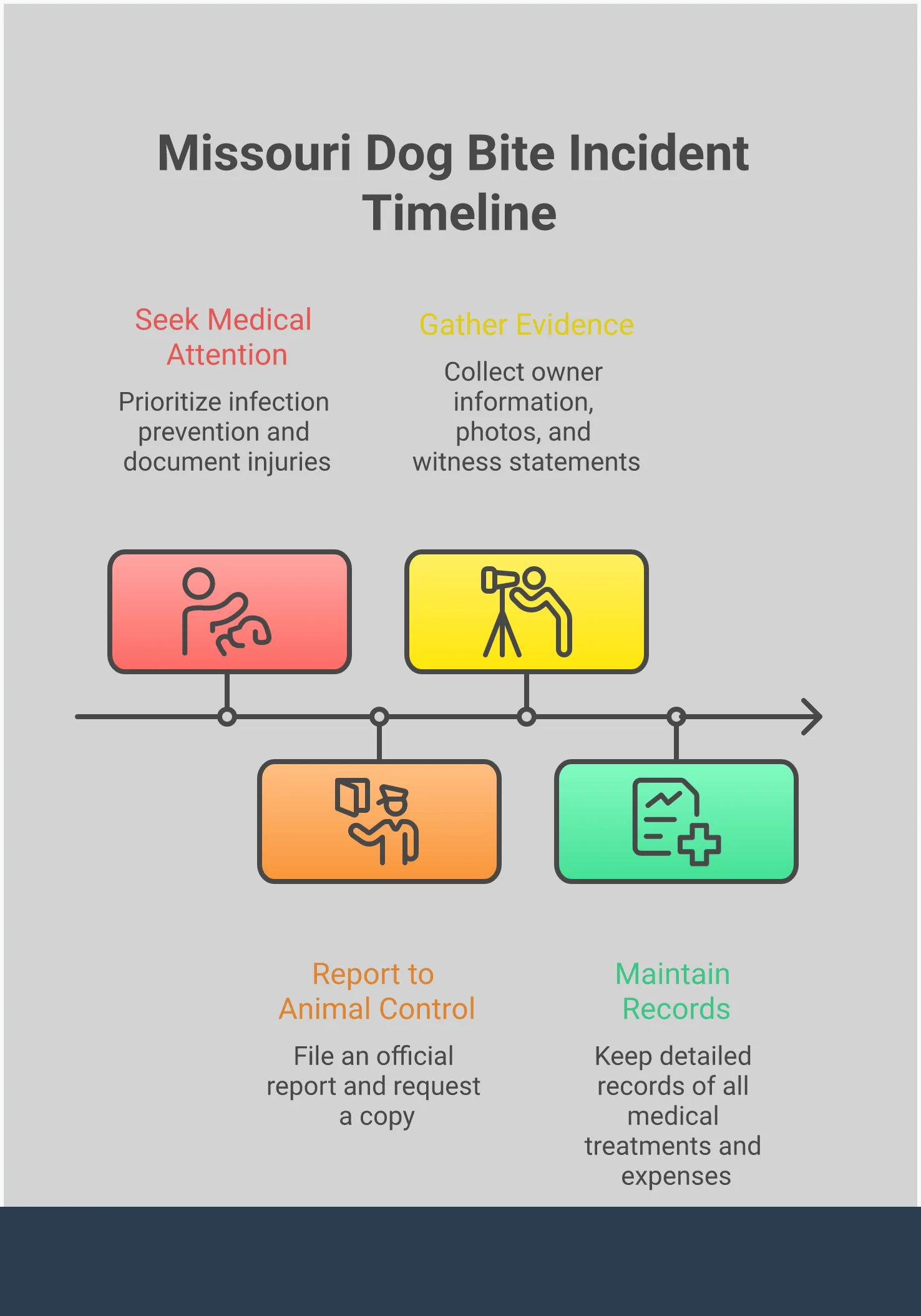 Missouri Dog Bite Law: Your Rights & Responsibilities Comprehensive infographic detailing Missouri dog bite laws, showing strict liability rules, evidence collection steps, common legal defenses, damage recovery options, and prevention strategies for dog owners. Features professional layout with clear sections covering legal protections, documentation requirements, and liability prevention measures.