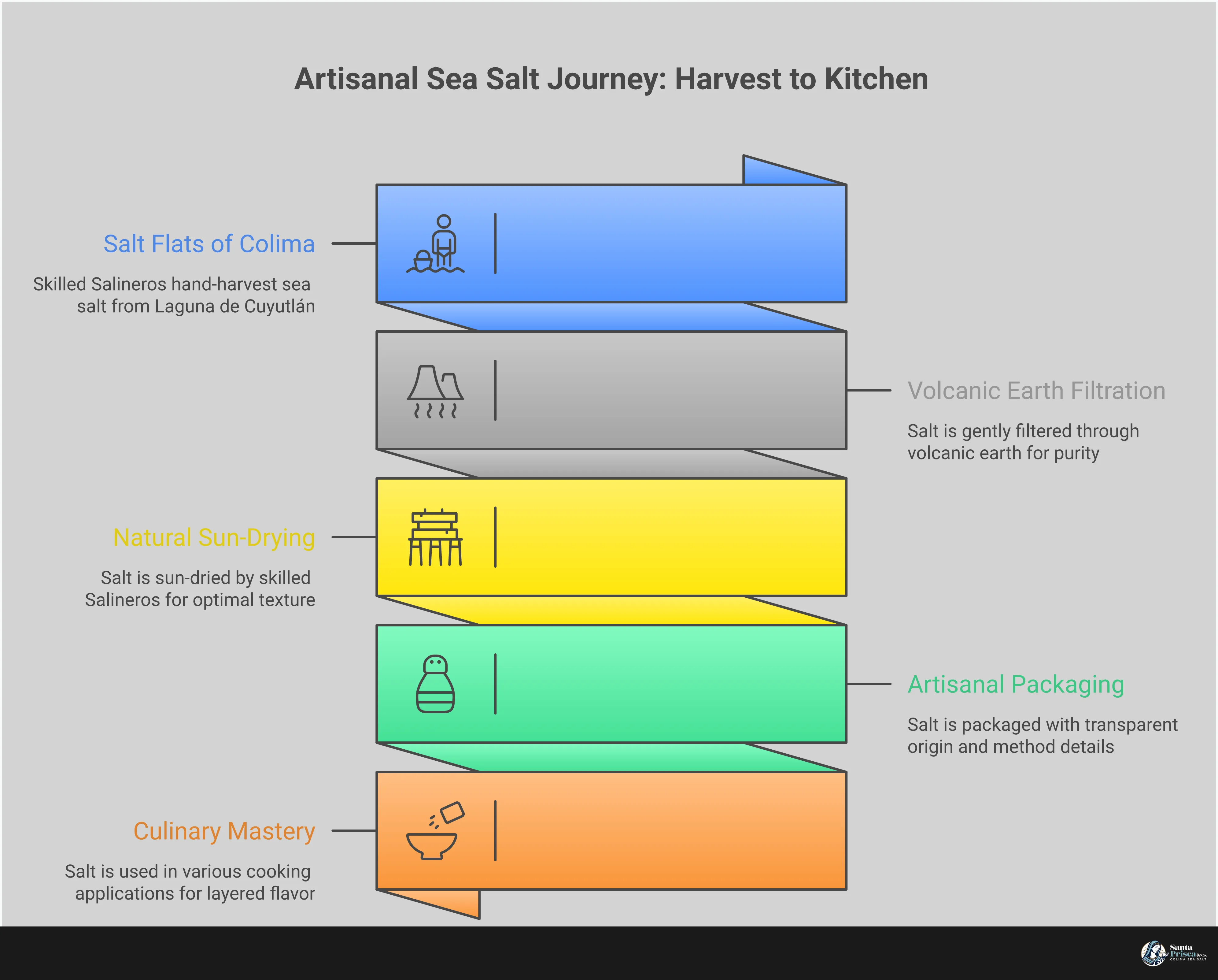 Professional infographic showing artisanal sea salt selection, storage, and cooking techniques. Features sections on identifying quality hand-harvested salt with clear labeling guidelines, crystal size applications for different cooking methods, strategic timing techniques for layered flavor development, proper storage methods for mineral preservation, and mineral profile integration for health benefits. Includes specific measurements, temperatures, and timeframes for optimal salt usage in cooking.
