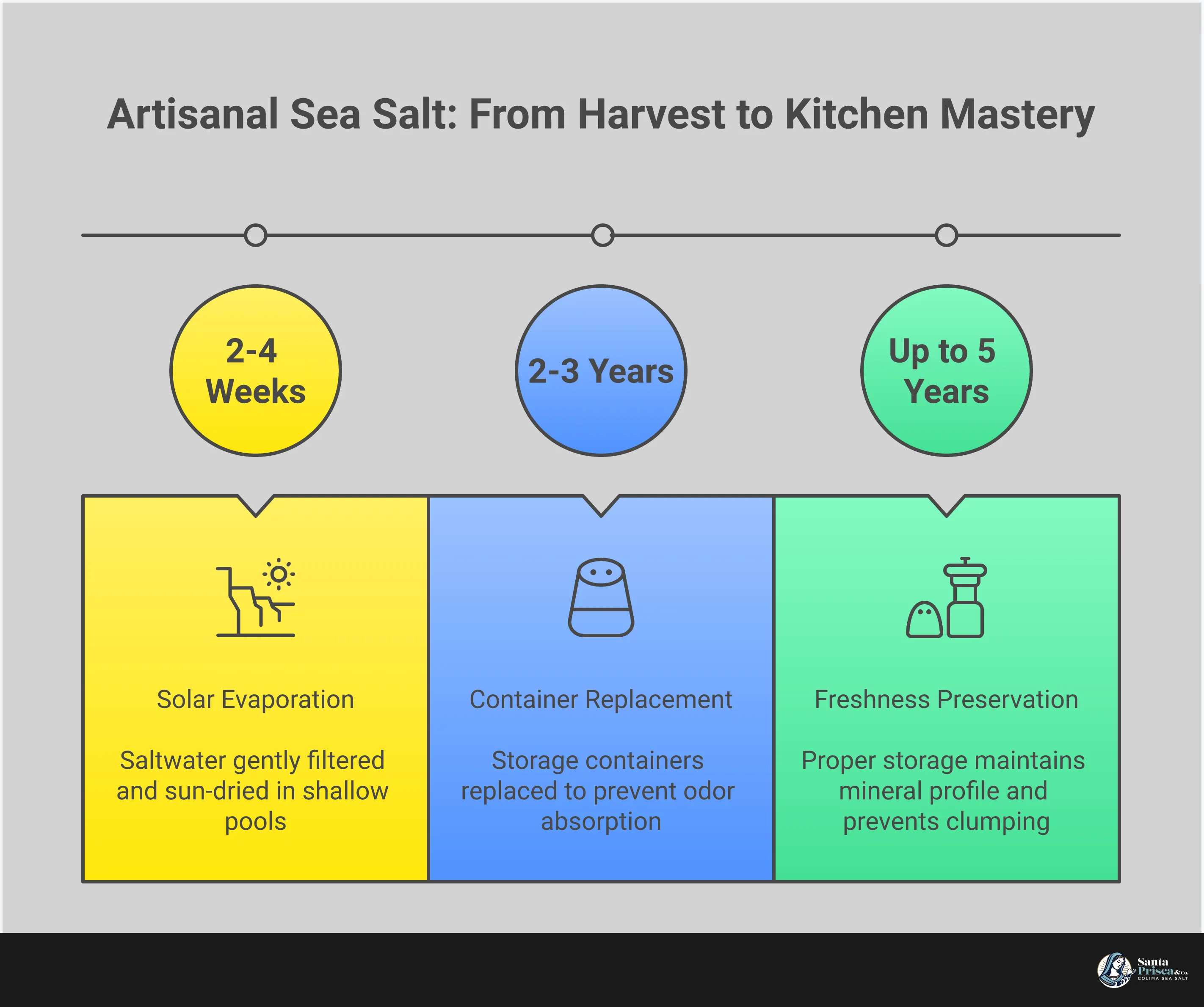 Professional infographic showing artisanal sea salt harvesting methods, crystal textures, proper storage containers, and cooking applications. Features hand-drawn illustrations of salt flakes, wooden storage vessels, and seasoning techniques with measurement guidelines and quality indicators for identifying authentic hand-harvested sea salt.