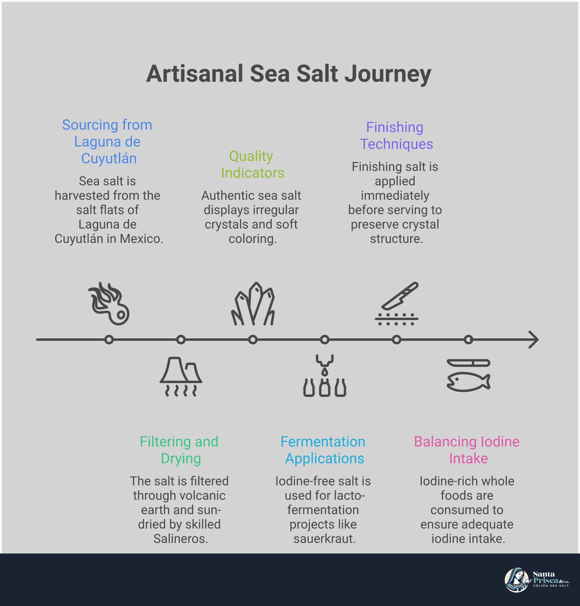 Artisanal Sea Salt: From Ocean to Kitchen Excellence Professional infographic showing artisanal sea salt selection and usage guide. Features sections on reading labels for pure ingredients, identifying quality through texture and color, using iodine-free salt for fermentation and preservation, professional finishing techniques for enhanced flavor, and balancing iodine intake through whole foods. Includes specific measurements, techniques, and visual indicators for choosing and using high-quality sea salt in cooking and food preparation.