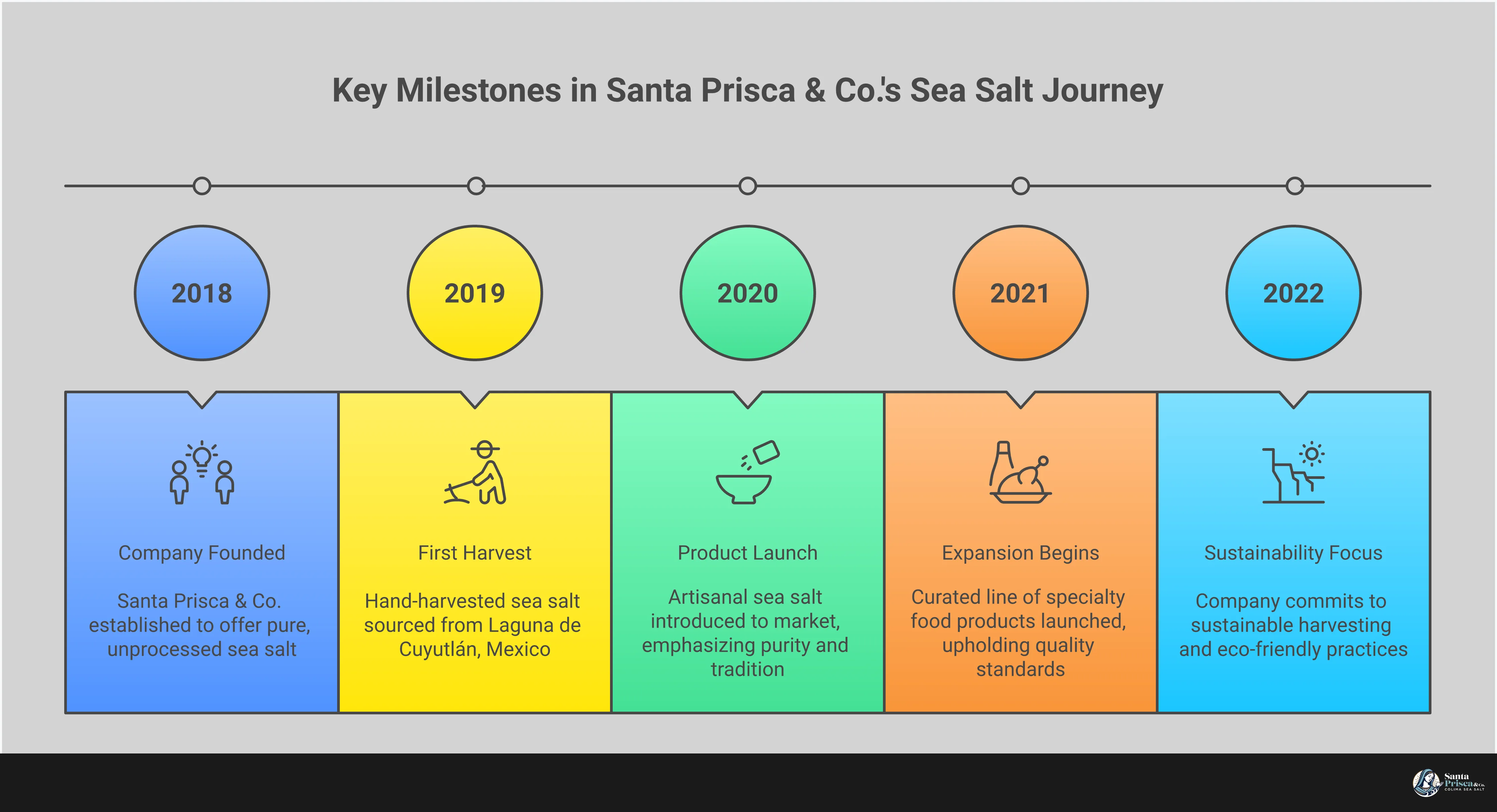 Comprehensive infographic guide showing the differences between hand-harvested and industrial sea salt processing, label reading tips for identifying pure products, texture and flavor profiles of different salt types, quality indicators for sourcing locations, and recommendations for building a curated artisanal salt collection. Features visual comparisons of crystal structures, mineral content charts, and sourcing location maps highlighting pristine harvest areas.