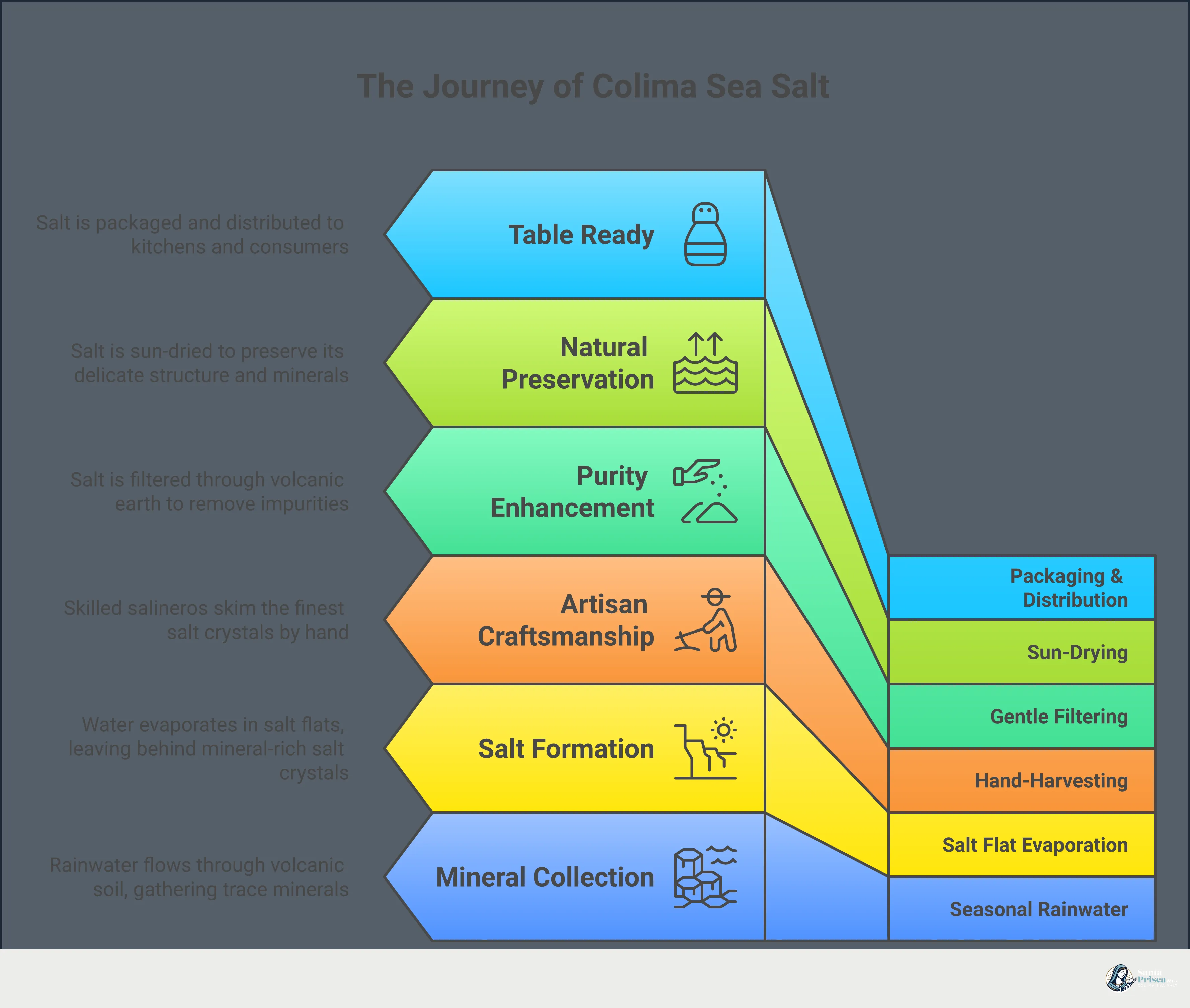 Colima Sea Salt: From Volcanic Earth to Your Table Infographic titled 'Colima Sea Salt: From Volcanic Earth to Your Table' with five sections covering how to read a salt label, the mineral profile of Colima salt, the two-salt cooking method, unexpected flavor pairings, and ethical sourcing practices. Each section includes a bold key takeaway and specific, actionable guidance for home cooks and food professionals.
