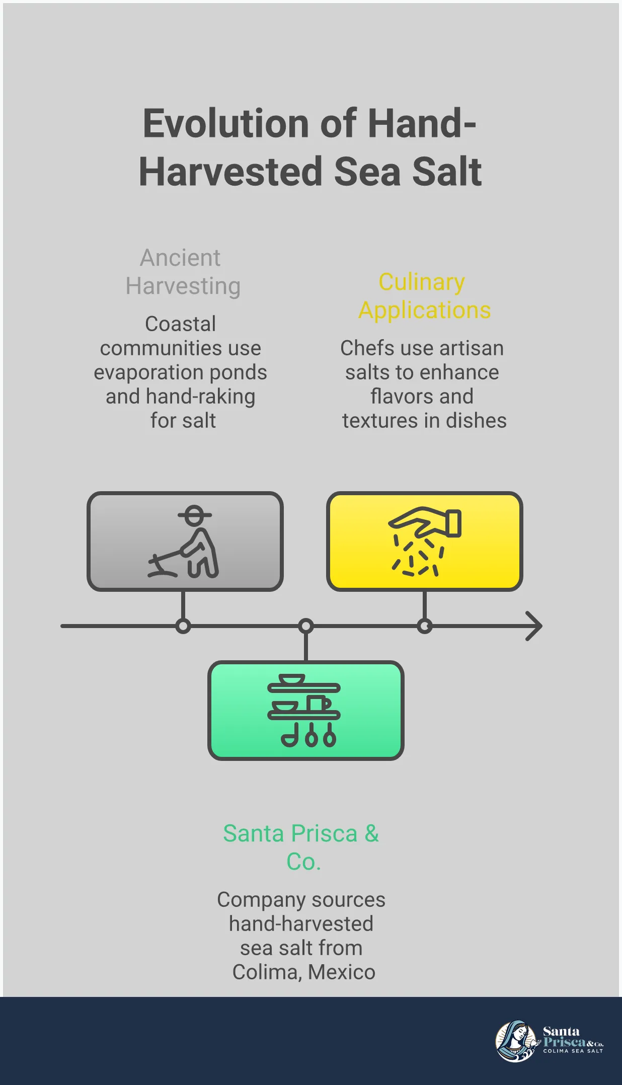 Infographic showing the journey of hand-harvested sea salt from ancient coastal harvesting methods through traditional evaporation ponds to modern culinary applications, featuring sections on harvesting techniques, mineral complexity, and chef applications with visual elements of salt crystals, coastal landscapes, and kitchen scenes