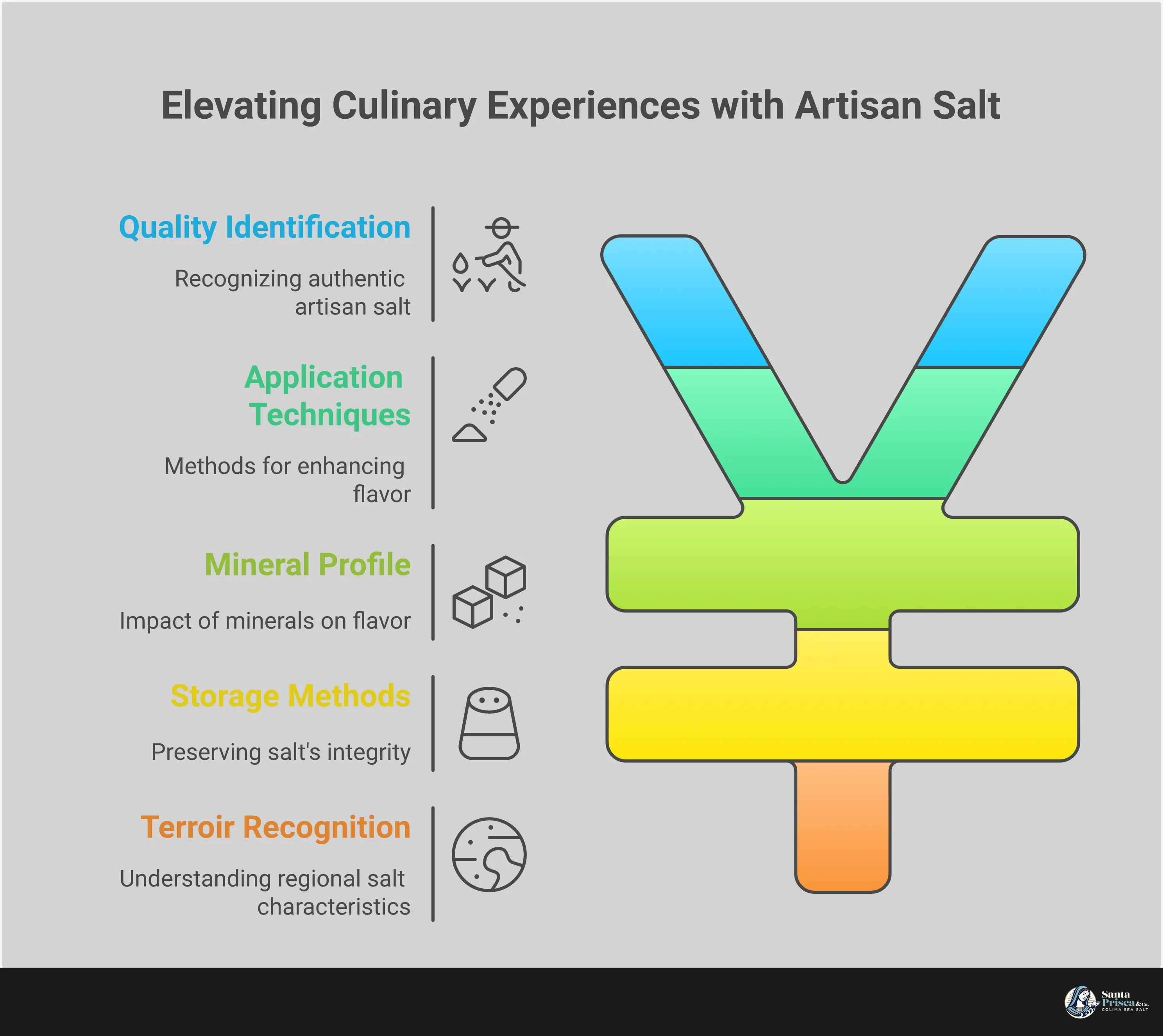 Professional infographic showing hand-harvested sea salt identification, application techniques, mineral benefits, storage methods, and global terroir characteristics. Features natural salt crystals, wooden storage containers, finishing technique demonstrations, and regional salt origin maps. Clean layout with earthy color palette emphasizing artisan quality and culinary expertise.