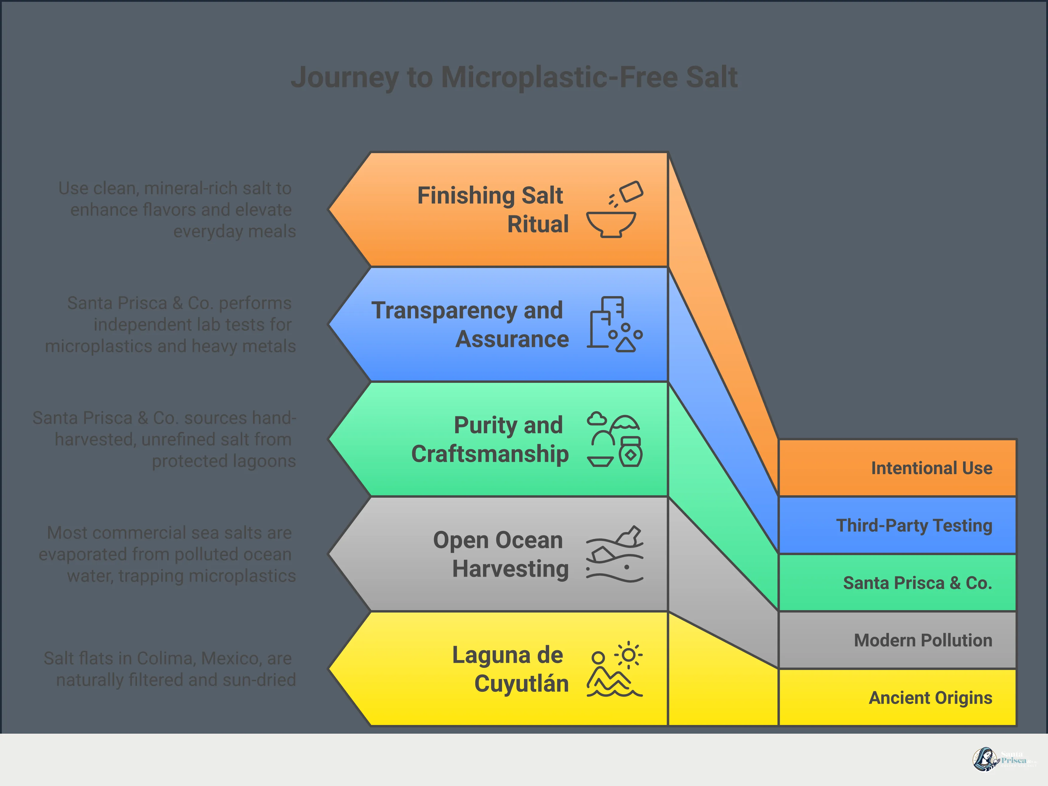How to Choose a Microplastic-Free Salt Infographic titled 'How to Choose a Microplastic-Free Salt' with five sections covering why ocean-harvested salt carries microplastic risks, a 3-point source checklist for clean salt, how traditional hand-harvesting preserves mineral integrity, a comparison of common kitchen salts including Colima, Himalayan, Kosher, and table salt, and how to use finishing salt with intention in everyday cooking.