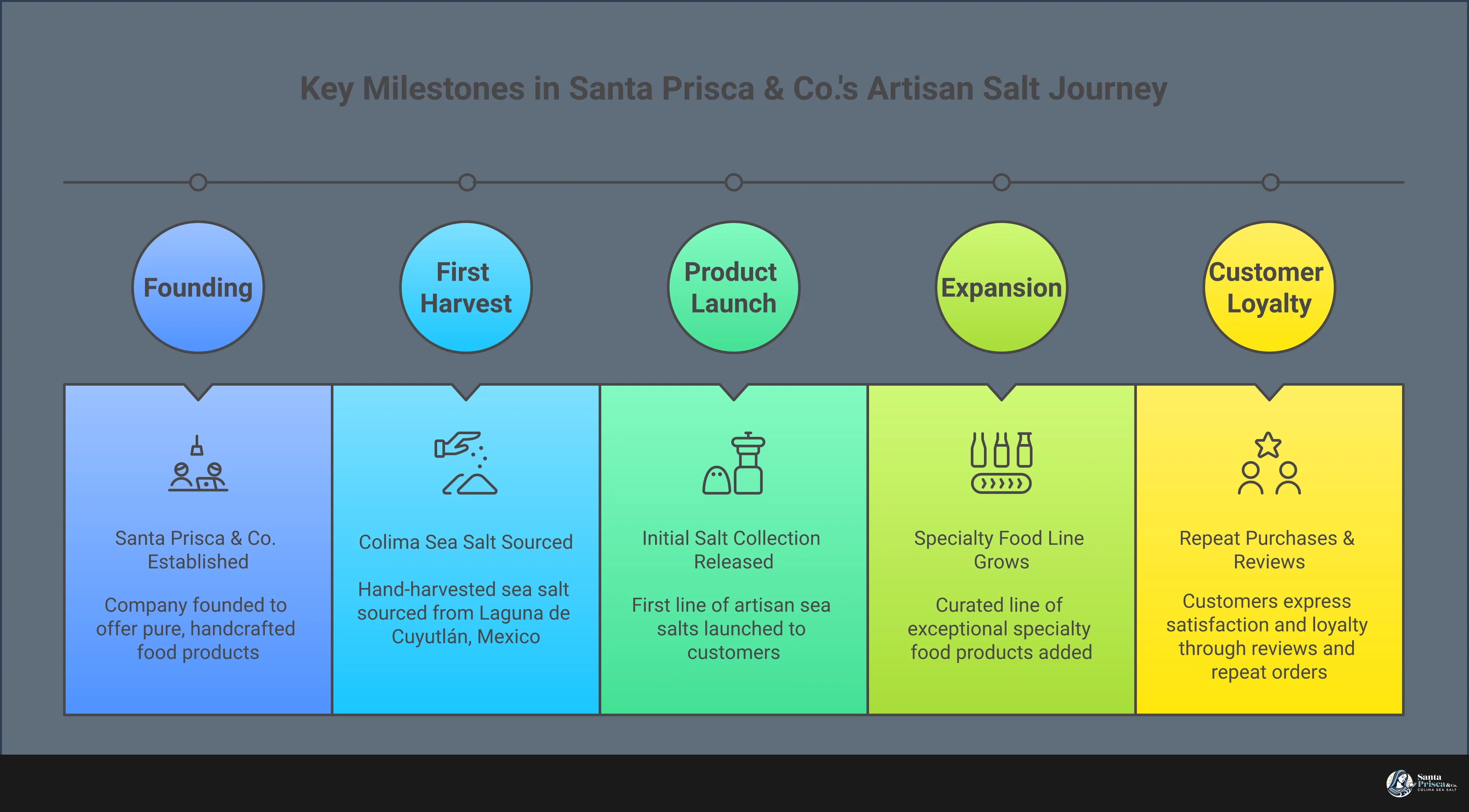 How to Identify Premium Artisan Salt Websites Infographic showing five key methods for evaluating artisan salt websites: visual quality assessment through crystal structure photography, origin story verification with geographic details, educational content depth analysis including recipes and mineral profiles, customer review pattern recognition focusing on texture descriptions, and website functionality standards including subscription services and shipping policies. Each section includes specific techniques and indicators that distinguish premium artisan salt sources from generic retailers.