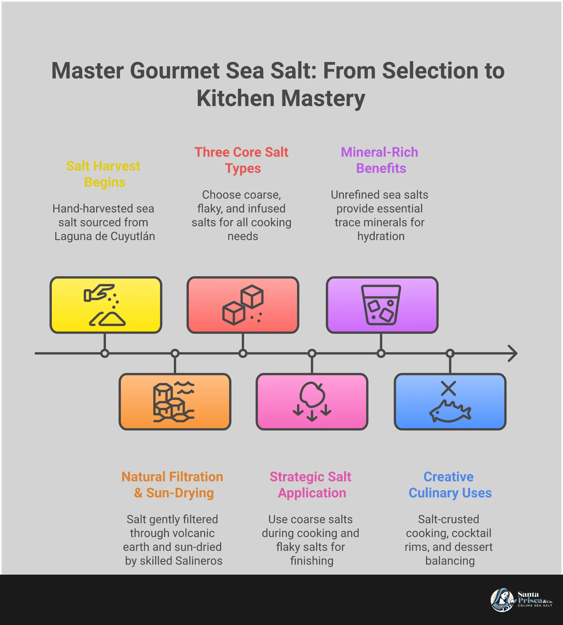 Master Gourmet Sea Salt: From Selection to Kitchen Mastery Professional infographic showing gourmet sea salt mastery techniques including selection criteria, timing methods, mineral benefits, and advanced cooking applications. Features visual elements of different salt crystal types, cooking techniques, and storage methods without any currency symbols or financial logos.