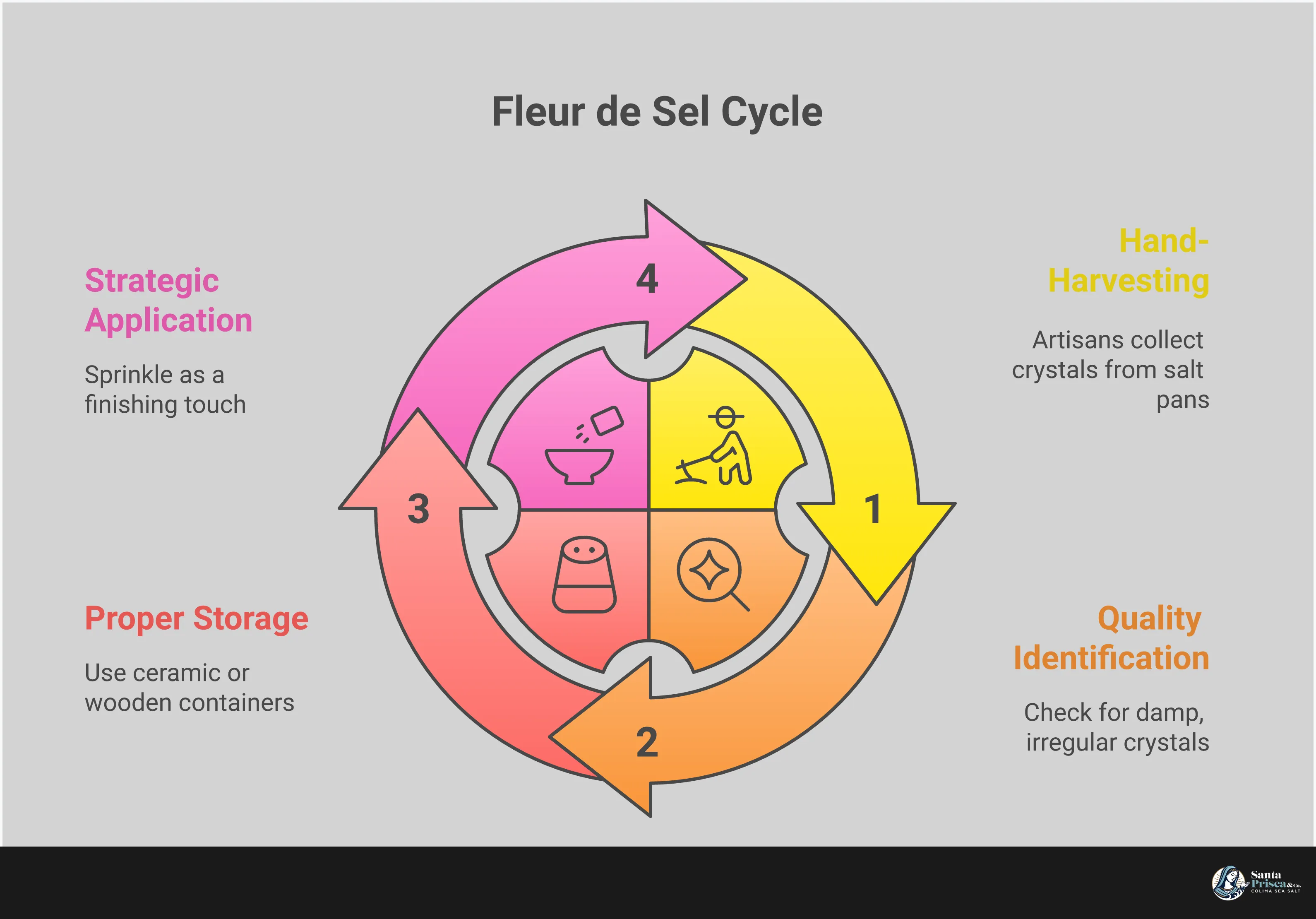 Professional infographic showing fleur de sel identification, storage methods, application techniques, and traditional harvesting practices with detailed visual guides for recognizing authentic artisan salt quality and proper usage methods
