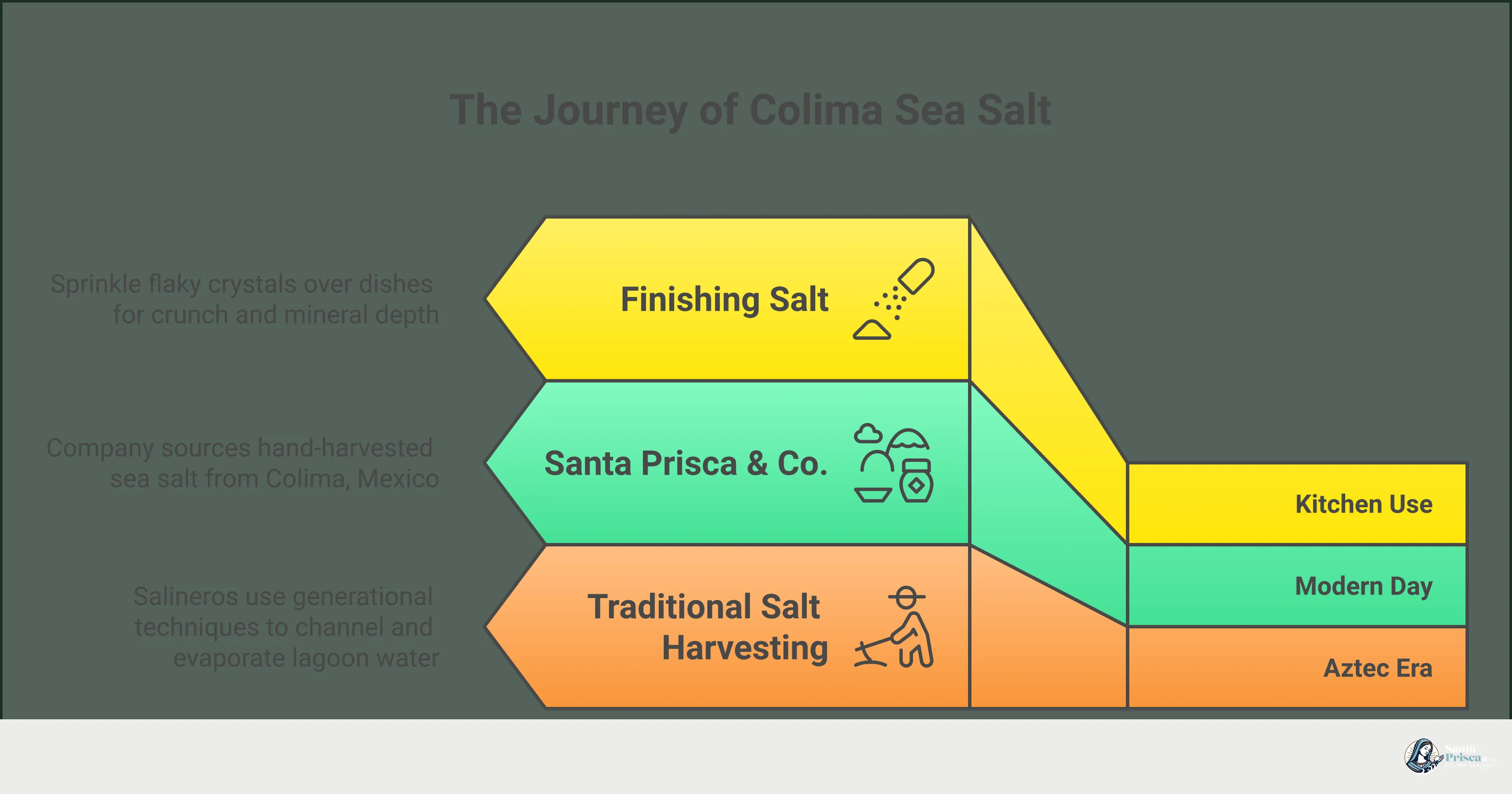 Mexican Sea Salt: What Your Shaker Is Missing Infographic titled 'Mexican Sea Salt: What Your Shaker Is Missing' with five sections covering the hand-harvesting process of Colima Sea Salt by salineros in volcanic lagoons, a side-by-side comparison of table salt versus unrefined sea salt including additive names to avoid, the three key minerals (magnesium, potassium, calcium) and their wellness benefits, three practical kitchen uses including cooking, finishing, and sweet pairings, and a five-point label-reading guide for choosing high-quality sea salt at the store. Concludes with a call to action encouraging readers to keep unrefined sea salt on the counter as a daily cooking ritual.