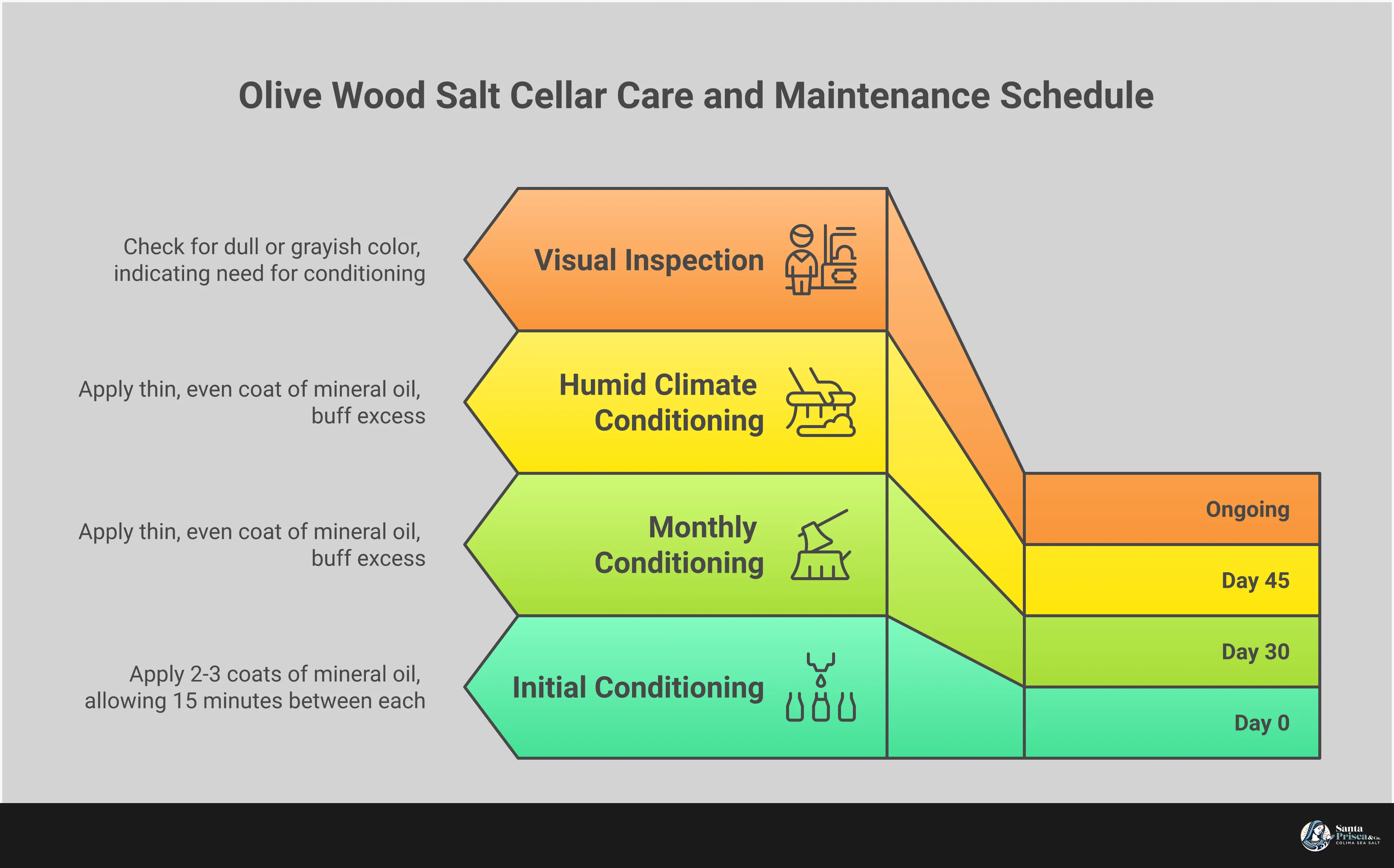 Olive Wood Salt Cellar: Your Kitchen's Natural Protector Professional infographic showing olive wood salt cellar care and selection guide. Features four main sections: wood science explaining moisture resistance through dense grain structure, magnetic lid mechanics with technical specifications, grain pattern assessment showing quality indicators in heartwood versus sapwood, and monthly conditioning protocol with step-by-step mineral oil application instructions. Uses warm earth tones reflecting natural olive wood coloring with clean typography and technical diagrams.