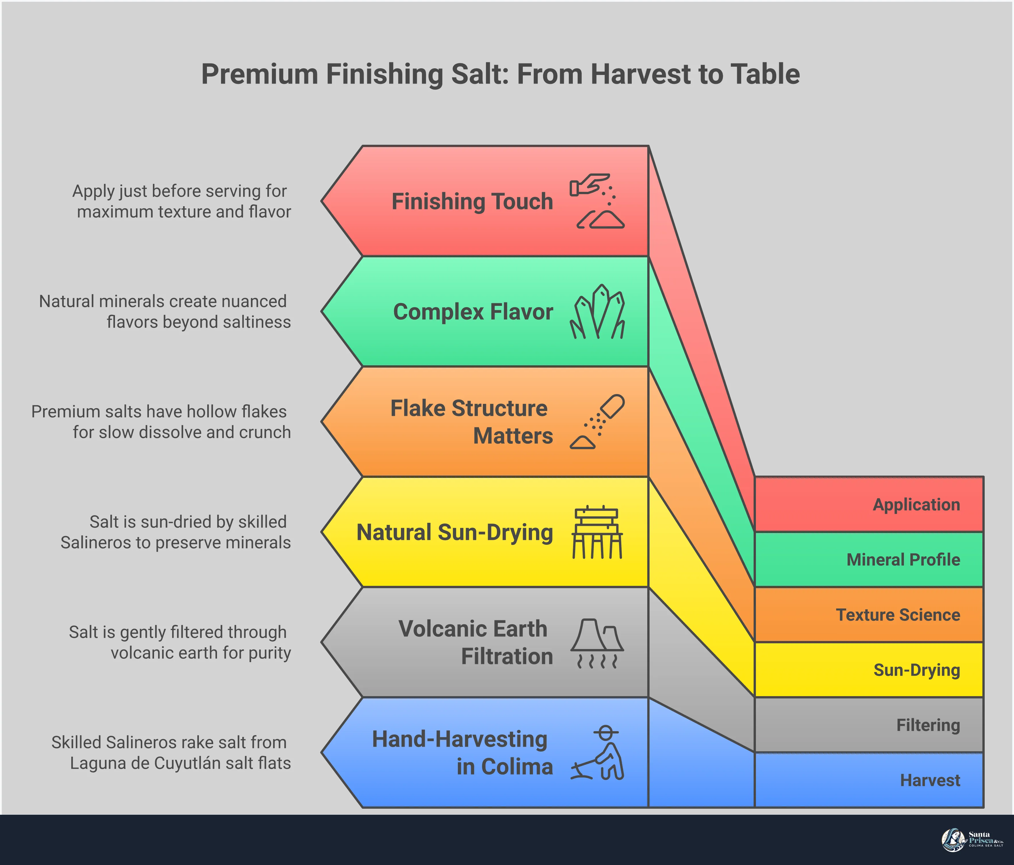 Premium Finishing Salt: From Harvest to Table Infographic showing the journey of premium finishing salt from traditional hand-harvesting methods to final application techniques. Features visual comparisons between flaky sea salt crystals and processed table salt, mineral composition charts, and step-by-step application methods for both savory and sweet dishes. Includes cross-sections of salt crystal structures and timing guidelines for optimal flavor and texture preservation.