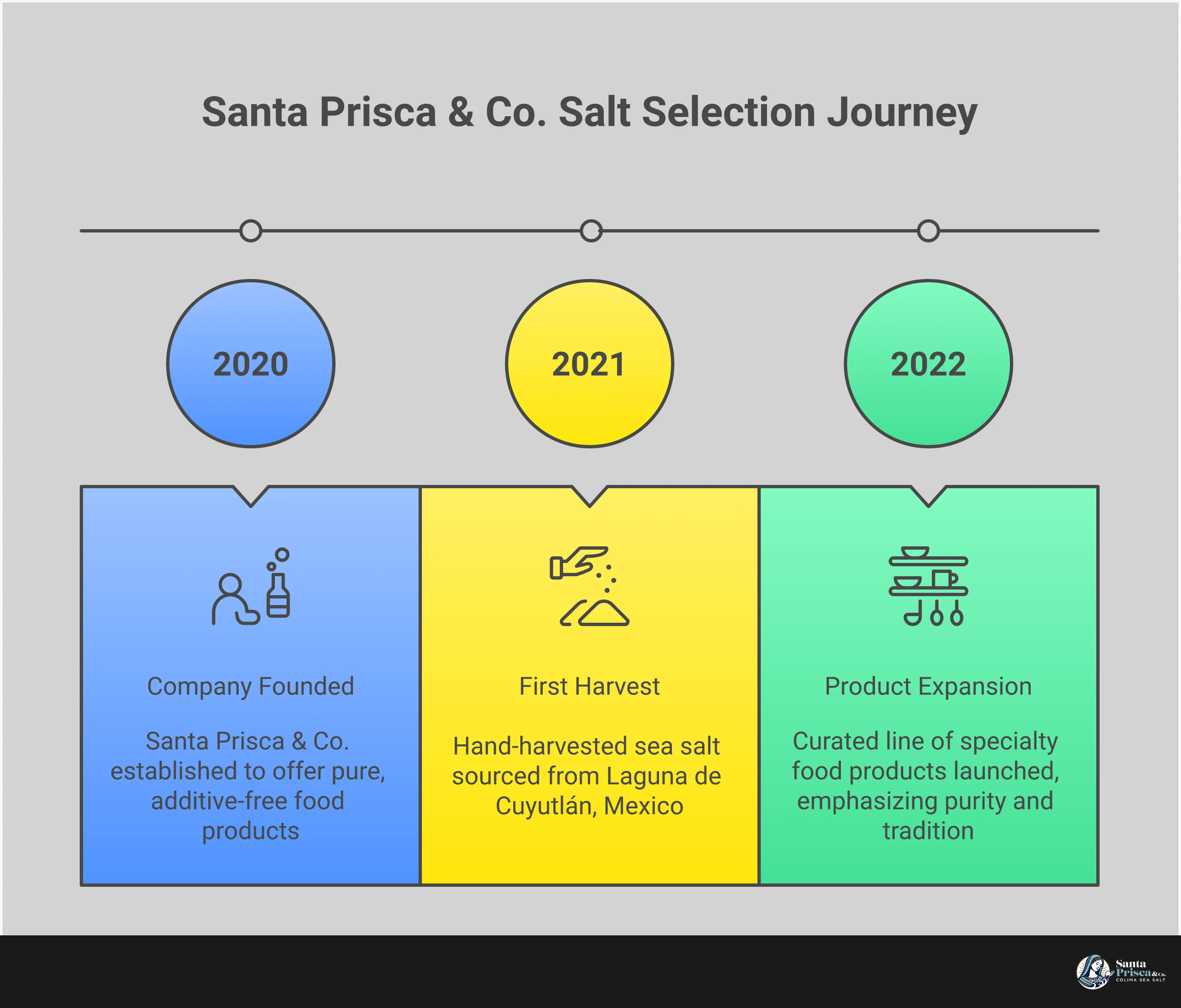 Professional infographic showing salt selection guide with five main sections: label reading techniques for identifying pure salts, texture-to-task matching system for different cooking applications, understanding natural clumping as a quality indicator, trusted brand selection criteria, and flavor profile recognition training. Each section contains detailed actionable steps with specific examples and techniques for choosing additive-free salts.