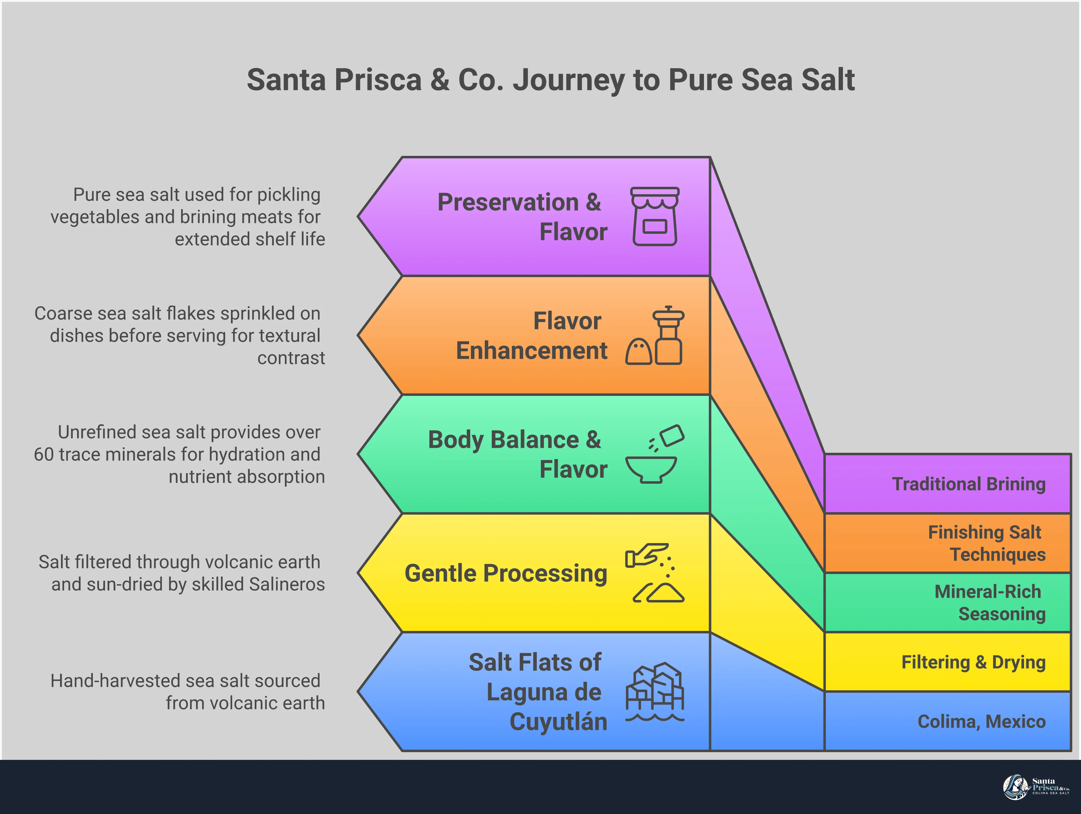 Pure Sea Salt: Your Guide to Mineral-Rich Seasoning Infographic showing pure sea salt identification, mineral benefits, finishing techniques, and traditional preservation methods with visual examples of crystal textures, mineral composition, and cooking applications