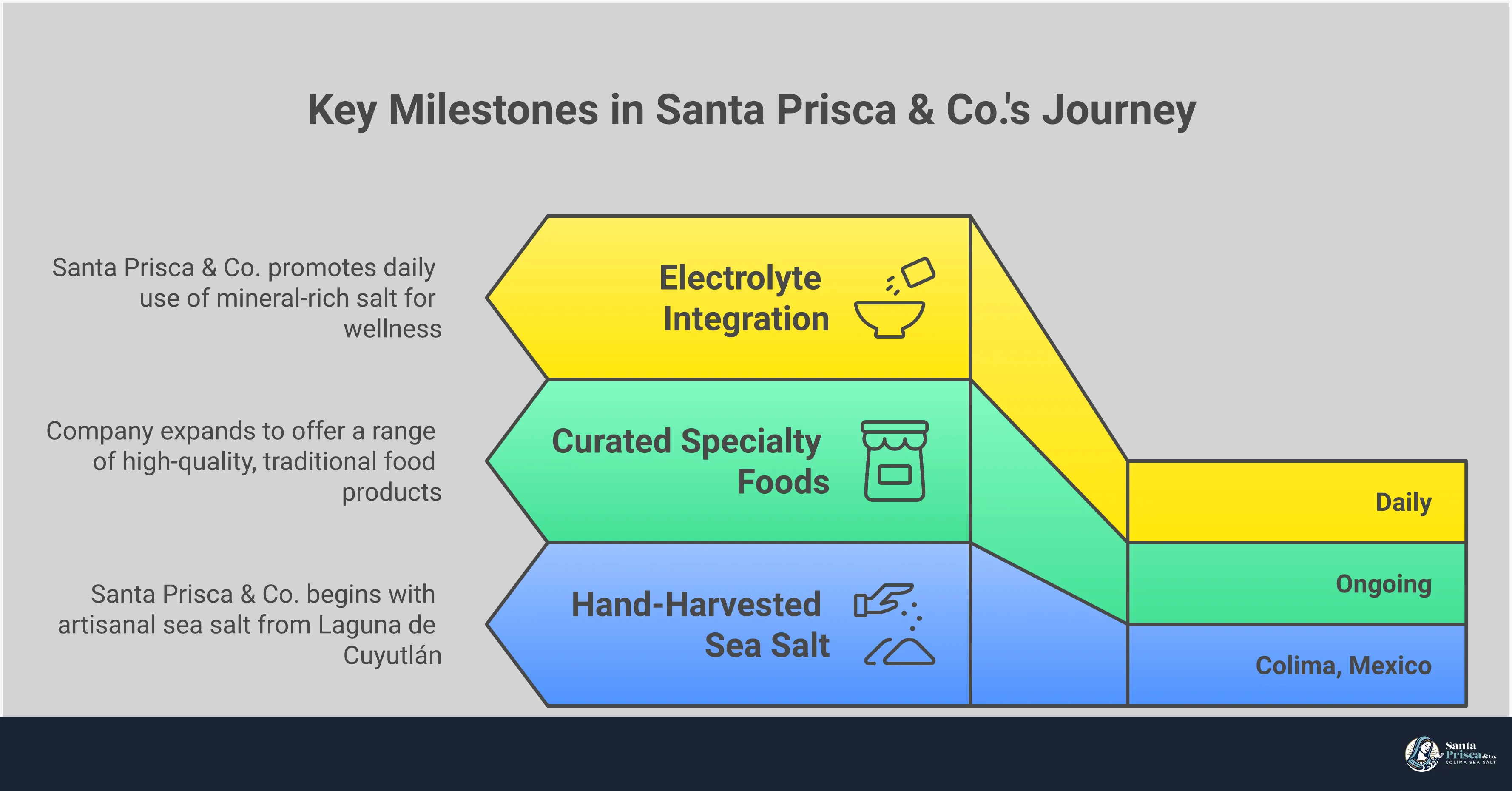 Comprehensive infographic comparing sea salt and Himalayan salt for electrolyte support, featuring mineral content analysis, hydration benefits, quality indicators, and practical usage guidelines for optimal wellness and daily hydration