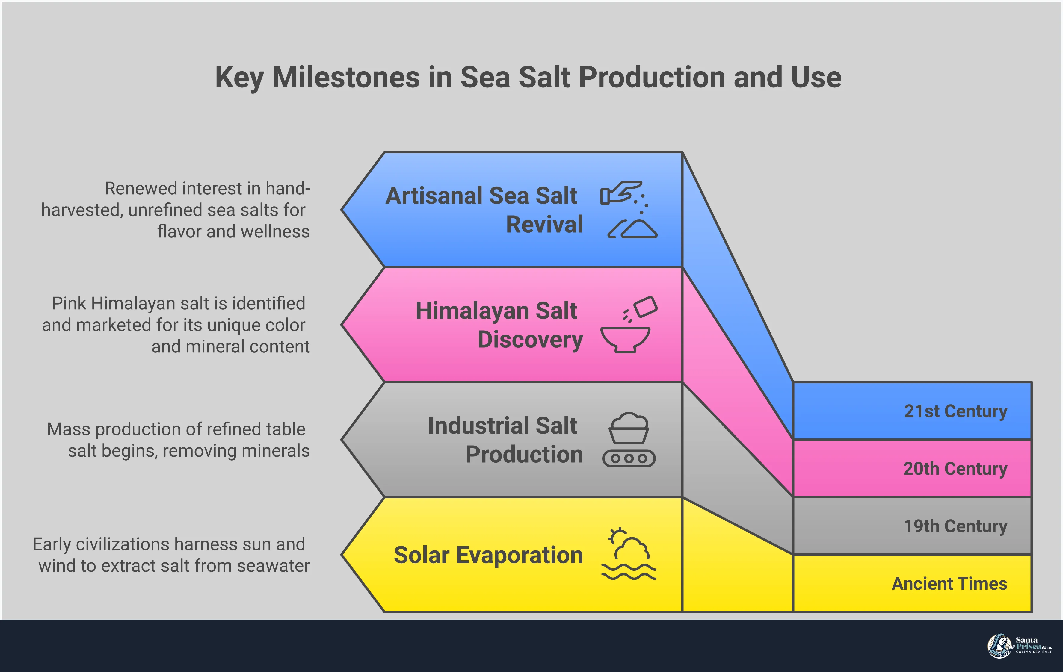 Sea Salt vs Himalayan: Your Kitchen Wellness Guide Comprehensive infographic comparing sea salt and Himalayan salt, featuring mineral composition charts, cooking application guides, digestive health benefits, and sustainable sourcing criteria. Visual elements include crystal structure comparisons, mineral percentage breakdowns, cooking method recommendations, and environmental impact indicators for conscious salt selection.