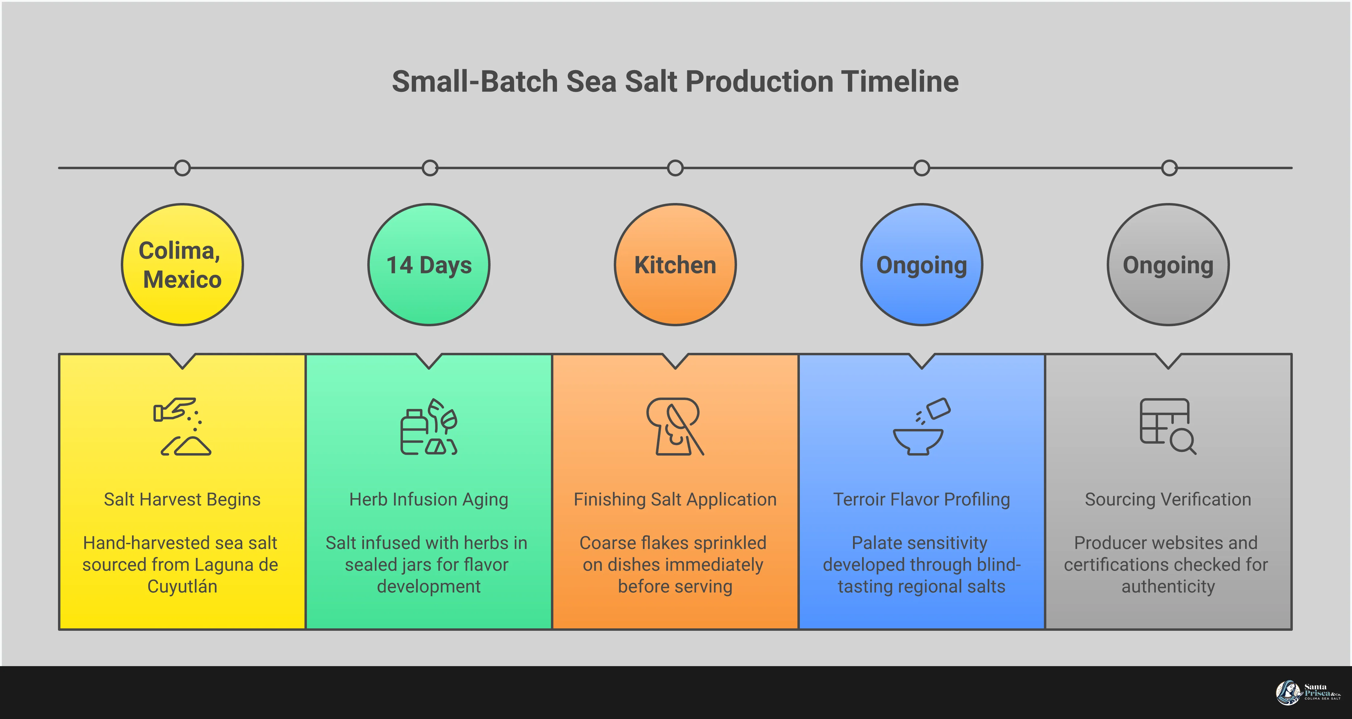 Comprehensive infographic showing small-batch sea salt identification, application techniques, flavor profiling methods, infusion processes, and sourcing verification steps. Features crystal structure comparisons, finishing salt application diagrams, terroir mapping, infusion ratio charts, and authentication checklists for artisanal salt selection.