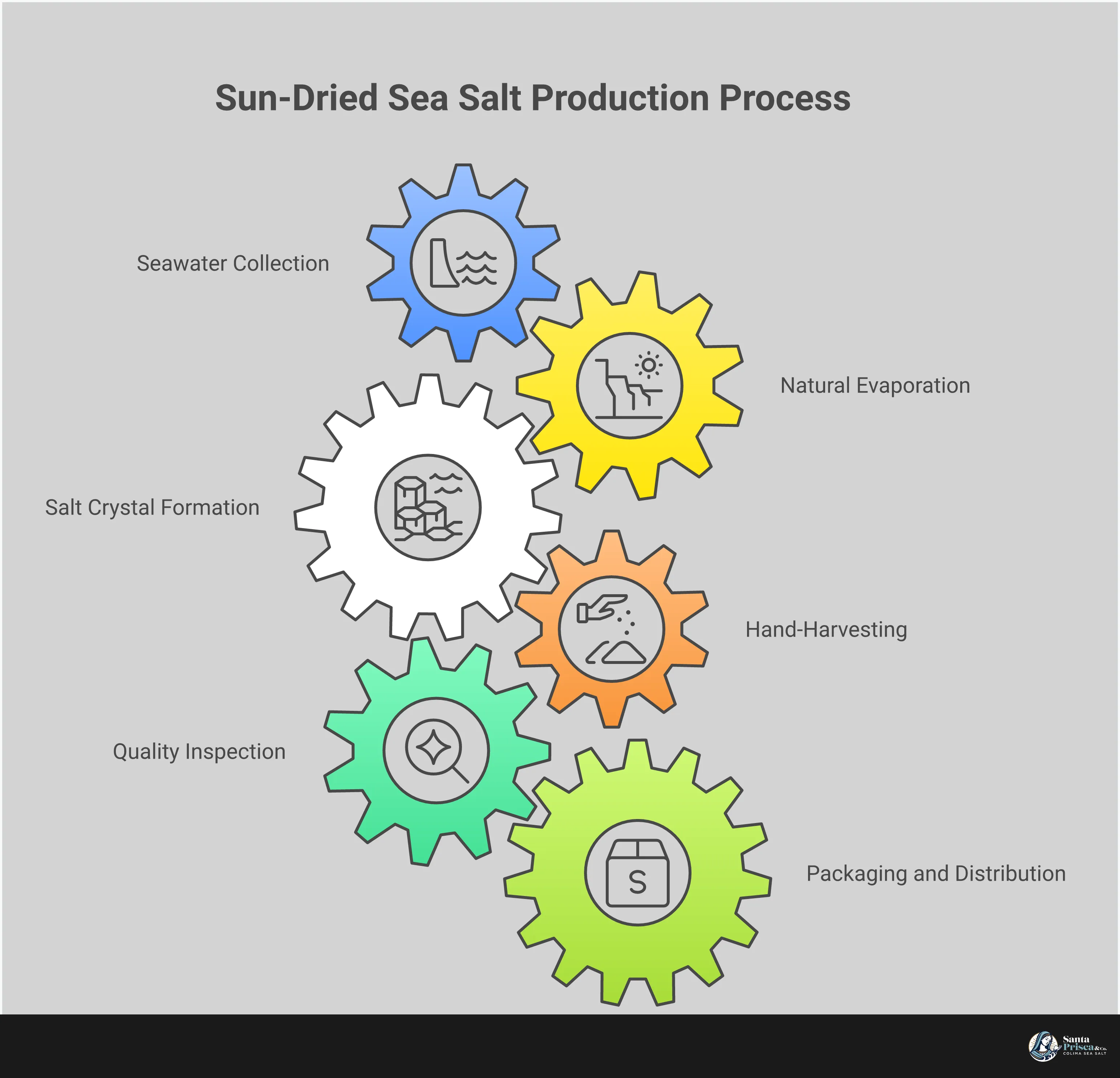 Professional infographic showing sun-dried sea salt production and usage techniques. Features sections on identifying authentic salt crystals, professional cooking applications with different textures, mineral content science, and traditional harvesting methods. Includes visual elements of salt crystals, cooking techniques, mineral diagrams, and traditional salt flat imagery. Color scheme uses ocean blues and earth tones to reflect the natural harvesting process.