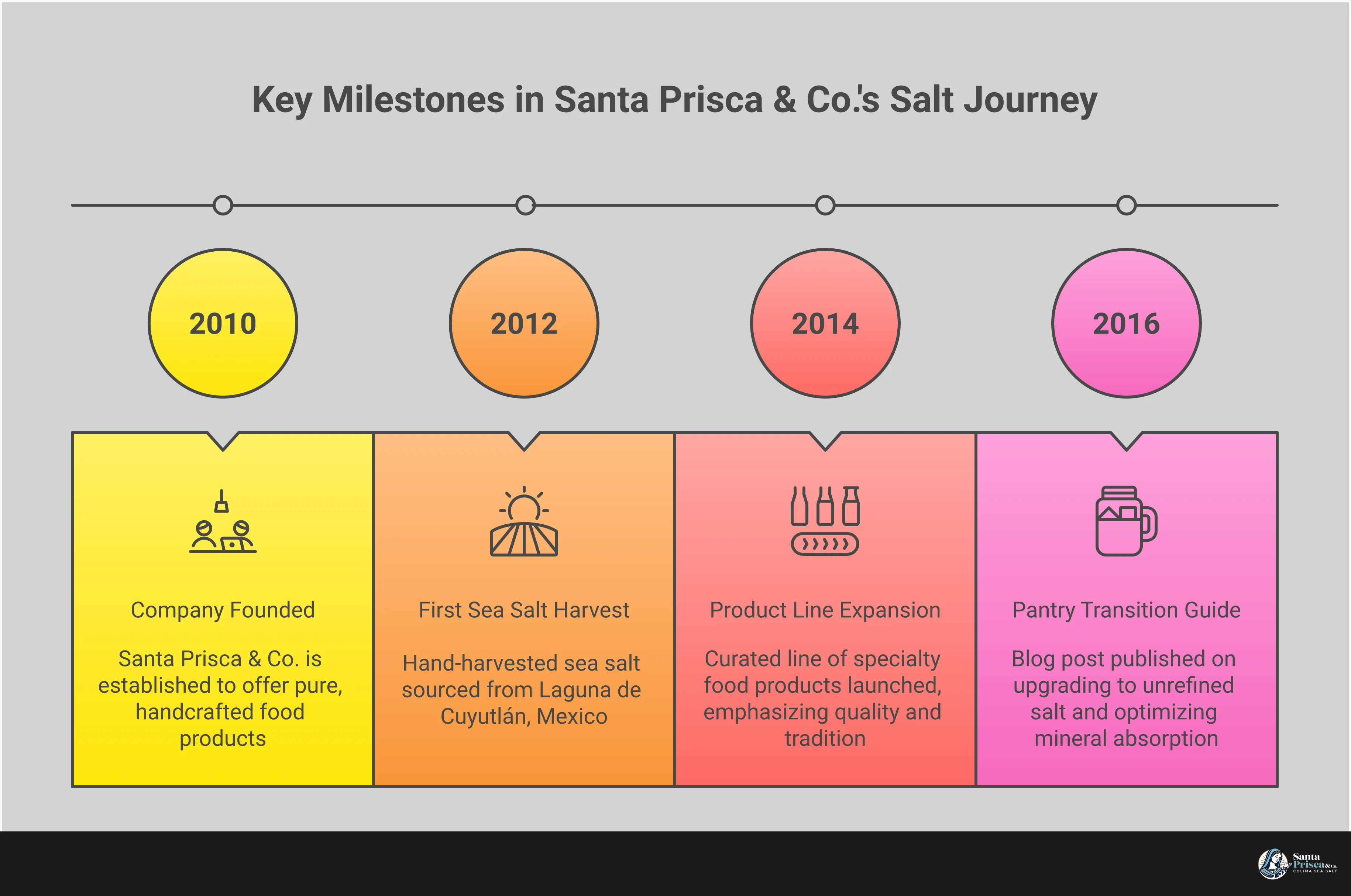 Infographic comparing sun-dried and refined salt, showing visual identification techniques, finishing salt application methods, hydration benefits of mineral-rich salt, and strategic pantry transition steps. Features natural salt crystals, cooking techniques, and storage recommendations for optimal flavor and health benefits.