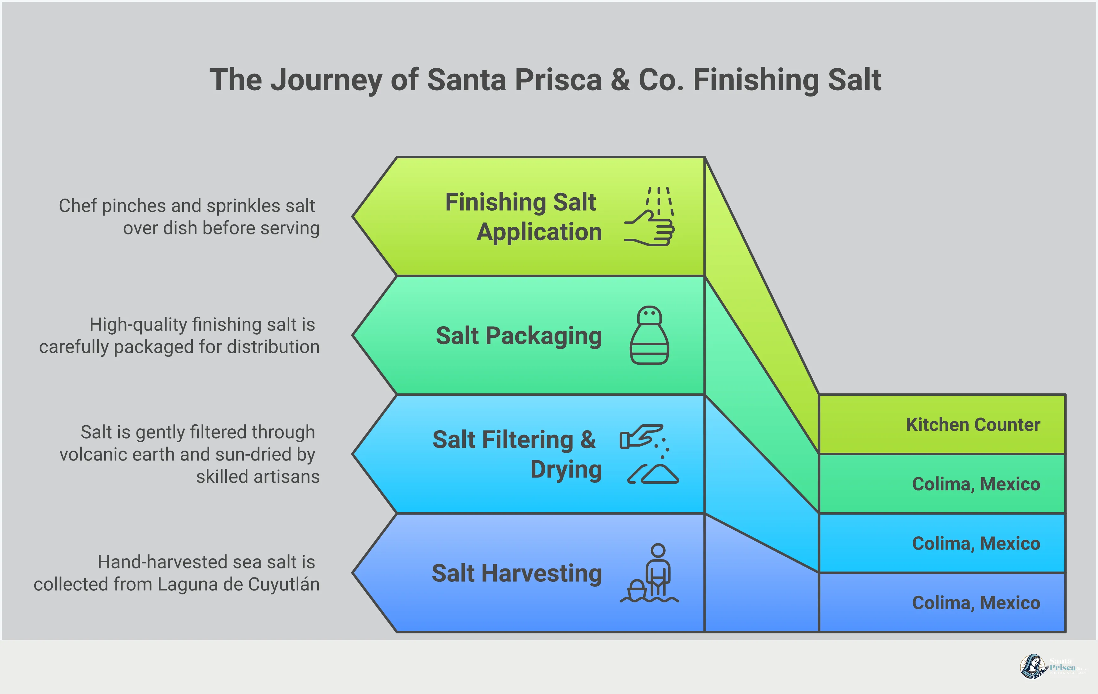 The Art of Finishing Salt: A Chef's Guide An infographic titled 'The Art of Finishing Salt: A Chef's Guide' with five sections covering the difference between finishing and cooking salt, how to pair salt types to specific dishes, the finger-pinch application technique, how to identify a high-quality finishing salt, and proper storage methods to preserve texture and flavor. Each section includes a bold header, detailed explanatory content, and a highlighted key takeaway. The visual style is modern and clean, designed for food-conscious home cooks and culinary professionals.