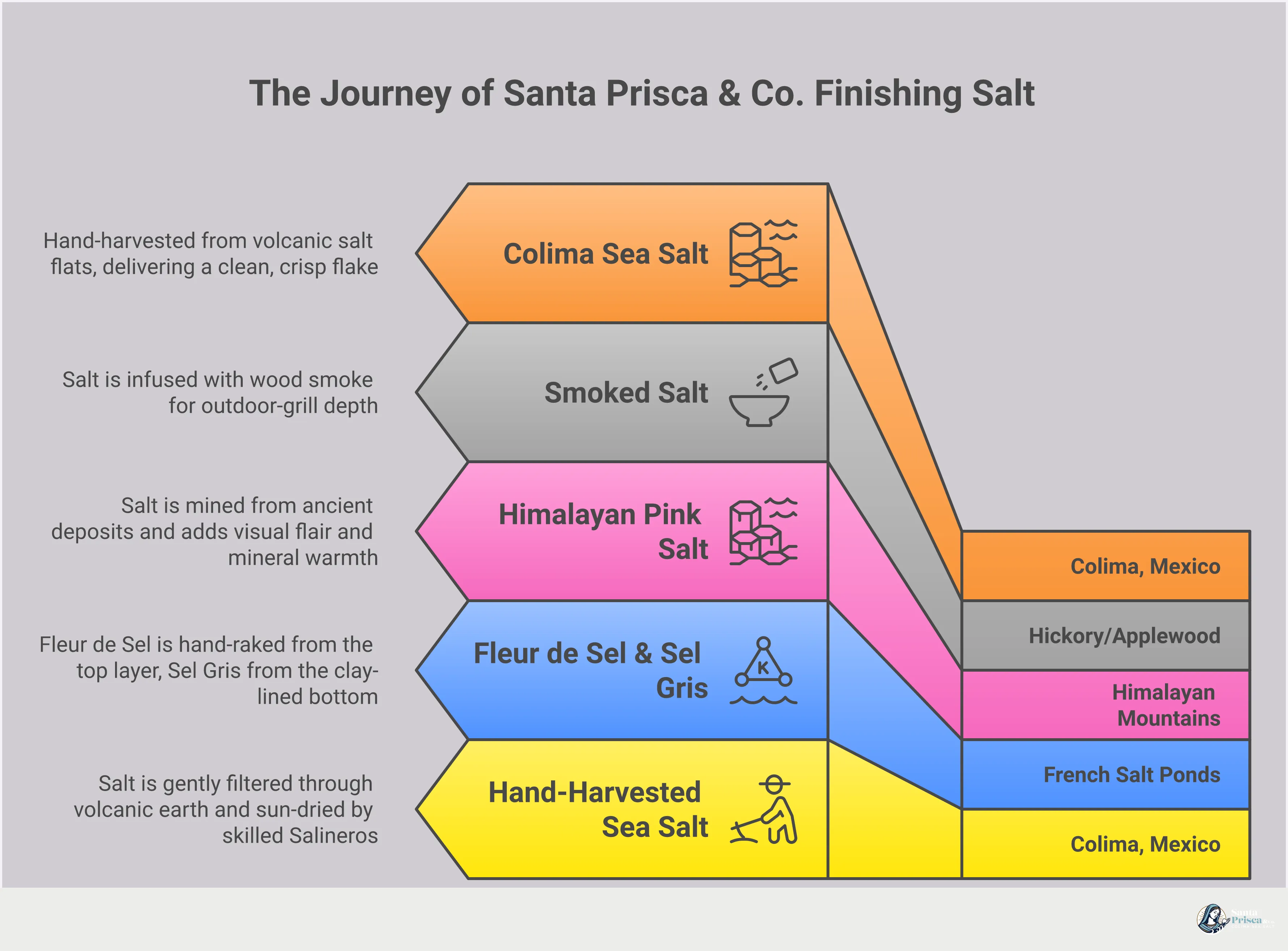 An infographic titled 'The Art of Finishing Salt: A Complete Guide' with five sections covering the six main finishing salt varieties and their best uses, three quality markers to look for when buying artisanal salt, four specific kitchen applications from grilled meats to cocktails, a three-step checklist for shopping online with confidence, and smart stocking strategies including subscriptions, bulk buying, and shipping tips. Each section includes concrete examples, specific salt names, and actionable guidance for home cooks and culinary enthusiasts.