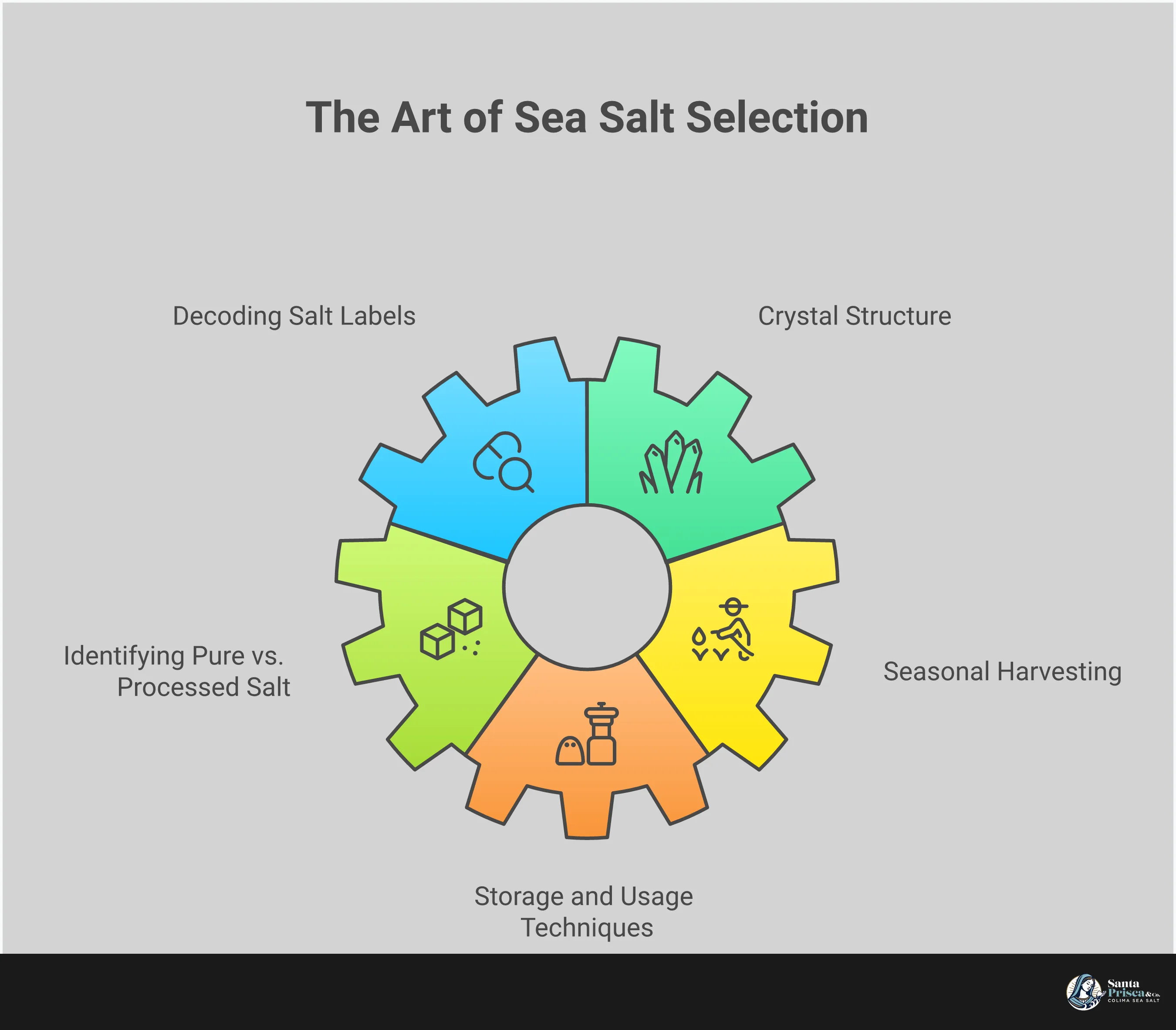 Comprehensive infographic guide showing how to choose healthy sea salt, featuring sections on reading salt labels, understanding crystal structures, identifying pure versus processed salts, recognizing seasonal harvesting quality indicators, and proper storage techniques. Visual elements include salt crystal comparisons, label examples, harvesting methods, and storage container recommendations.
