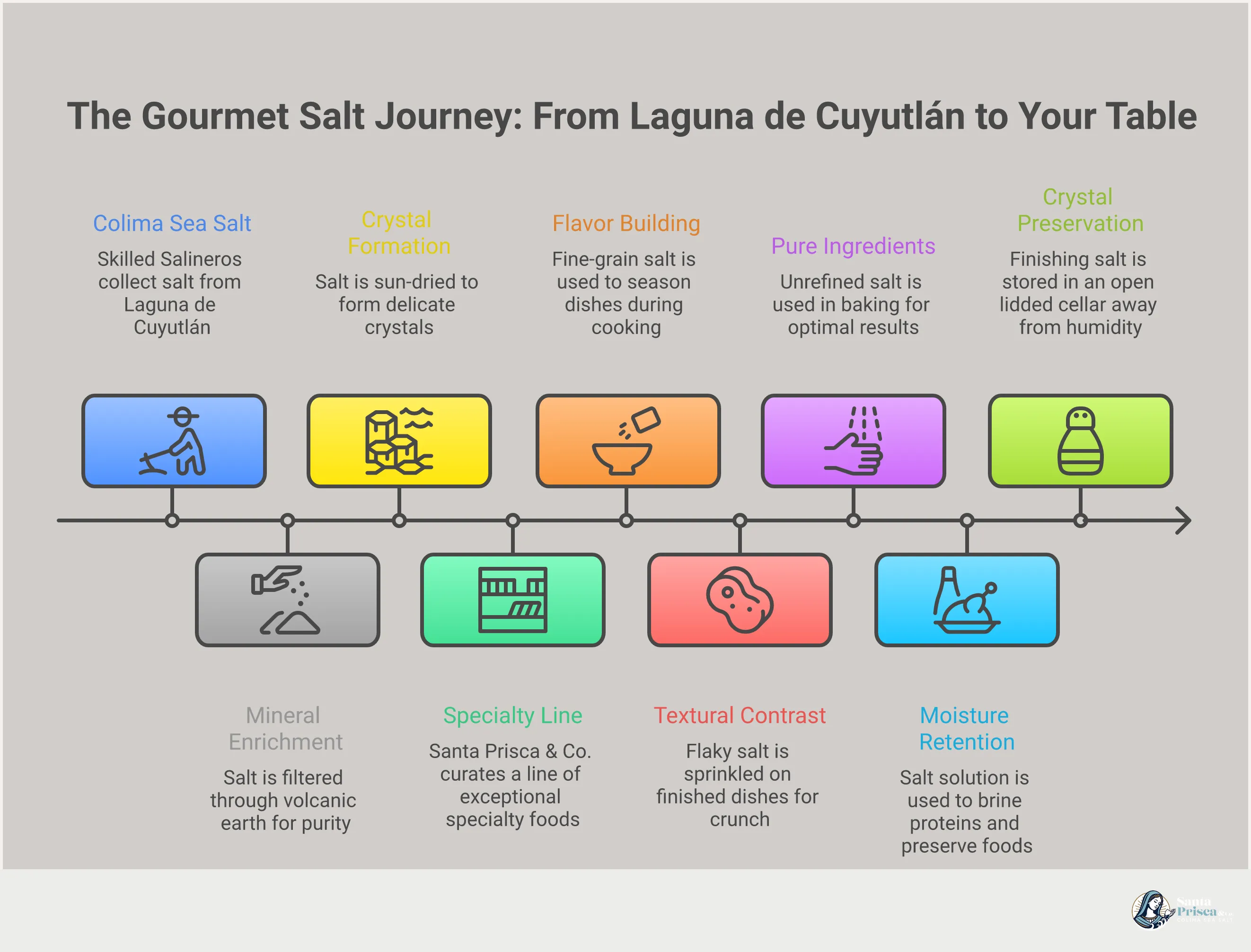The Gourmet Salt Guide: Choose, Use & Savor An infographic titled 'The Gourmet Salt Guide: Choose, Use and Savor' with five sections covering the difference between cooking and finishing salt, a guide to 7 gourmet salts and their best uses, a comparison of unrefined versus processed salt and their mineral content, four practical cooking contexts for intentional salting, and tips for properly storing gourmet salt to preserve crystal structure and flavor.